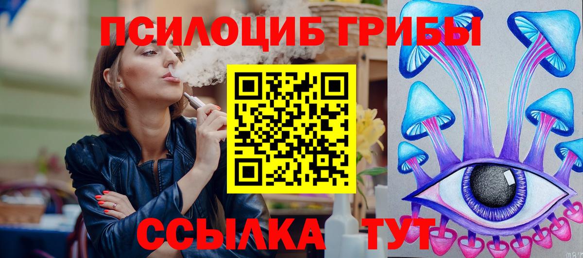 Псилоцибиновые грибы Cubensis  Вход с VPN  Советская Гавань 