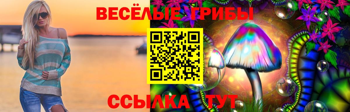 Псилоцибиновые грибы MAGIC MUSHROOMS Советская Гавань